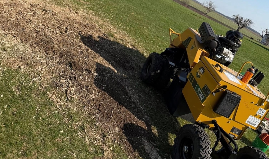 Stump Removal